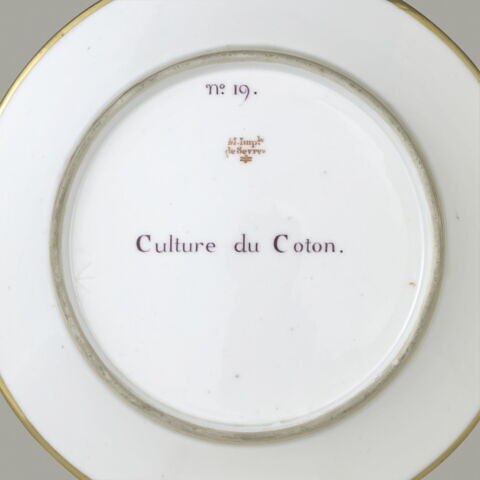 Assiette du Service Encyclopédique : Culture du Coton, image 2/2