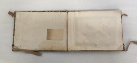 Petit album de peintures d'exportation: fleurs, oiseaux et insectes, image 6/31