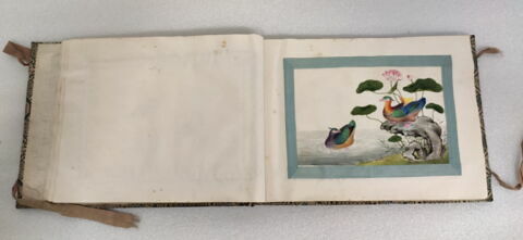 Petit album de peintures d'exportation: fleurs, oiseaux et insectes, image 31/31