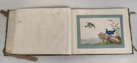 Petit album de peintures d'exportation: fleurs, oiseaux et insectes, image 19/31