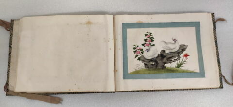 Petit album de peintures d'exportation: fleurs, oiseaux et insectes, image 21/31