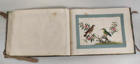 Petit album de peintures d'exportation: fleurs, oiseaux et insectes, image 22/31