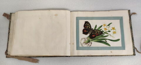 Petit album de peintures d'exportation: fleurs, oiseaux et insectes, image 24/31