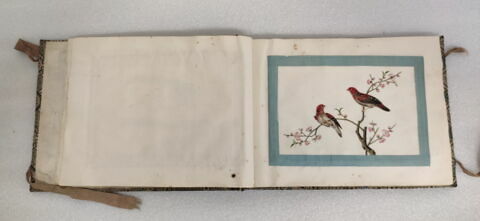 Petit album de peintures d'exportation: fleurs, oiseaux et insectes, image 30/31