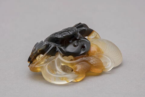 Crabe, image 2/3