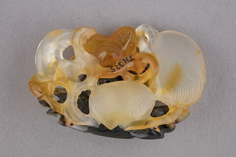 Crabe, image 3/3