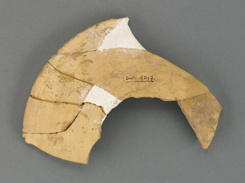 Fragments d'une aile de plat, image 2/2