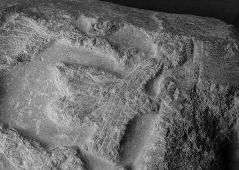 Stèle de Sargon, image 15/17