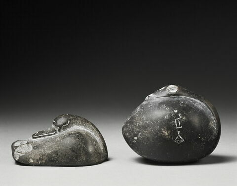 poids, image 7/7