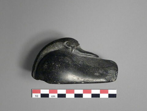 poids, image 5/7