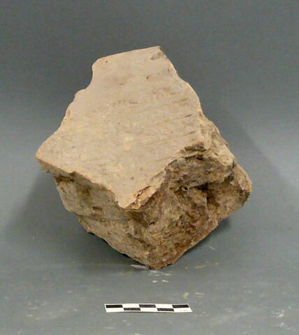 brique, image 8/8