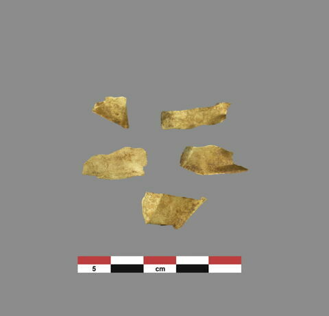 fragment