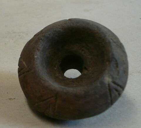 fusaïole, image 2/2