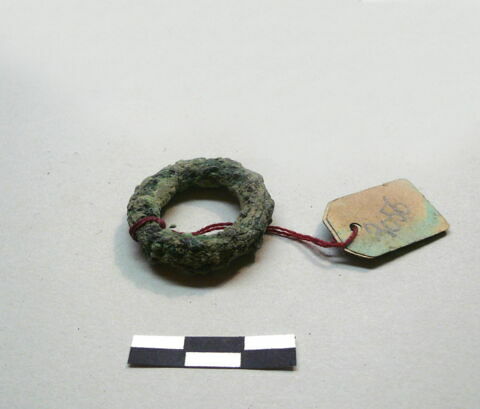 anneau  ; os, image 2/17