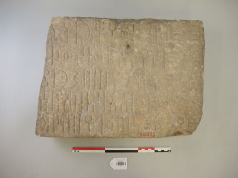 dalle, image 4/4