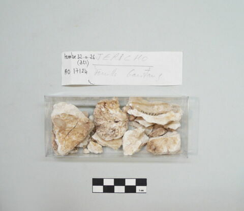 vase, image 2/2
