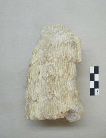 statue, image 9/10