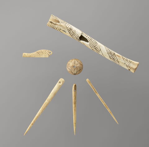 spatule, image 3/5