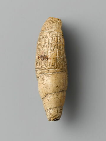 coquillage, image 3/6