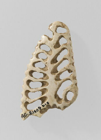 fragment, image 2/2
