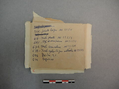 perle, image 2/2