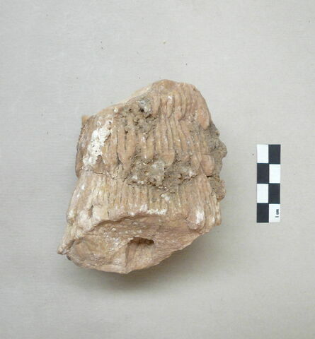 statue, image 12/14