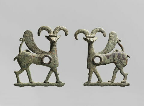 plaque de mors, image 3/6