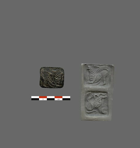 cachet, image 3/5