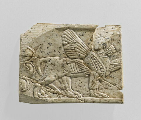 plaquette, image 2/3