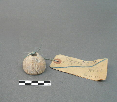 fusaïole, image 3/3