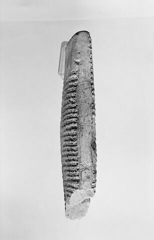 tablette, image 6/6