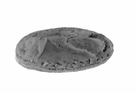 tablette, image 8/8