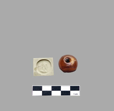 cachet ; dactylioïde, image 2/2