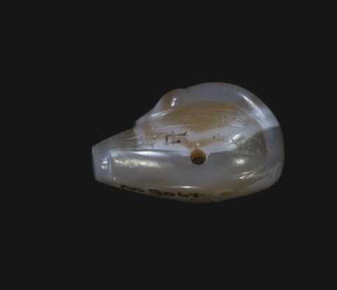 poids, image 4/7