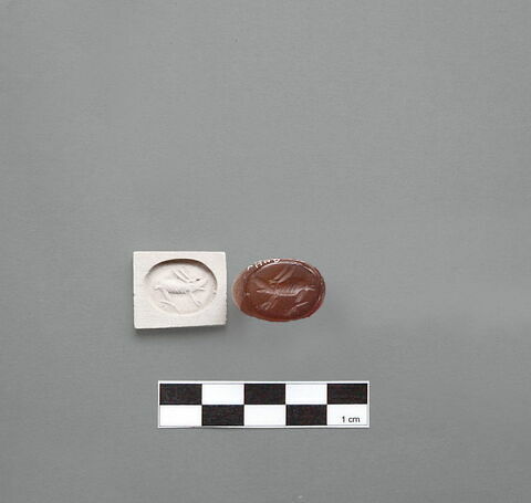 cachet, image 2/2