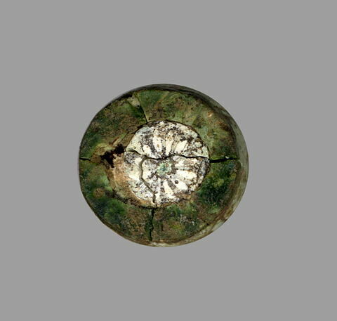 pion, image 6/7