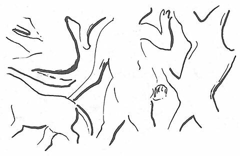 bulle de scellement ; calculus, image 2/3