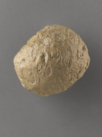 bulle-enveloppe ; calculus, image 6/10