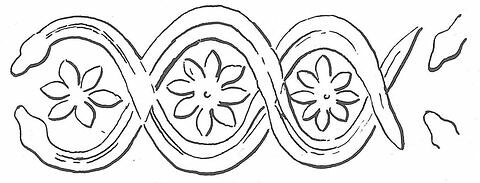 bulle-enveloppe ; calculus, image 3/10