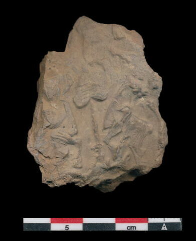scellement, image 4/5