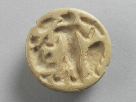 cachet, image 3/5