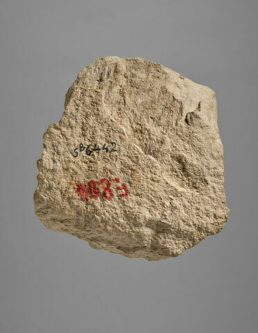 fragment, image 2/3