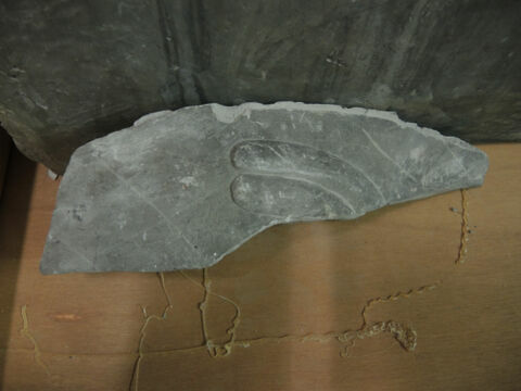 chapiteau, image 5/7