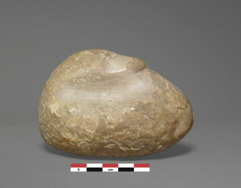 poids, image 3/5