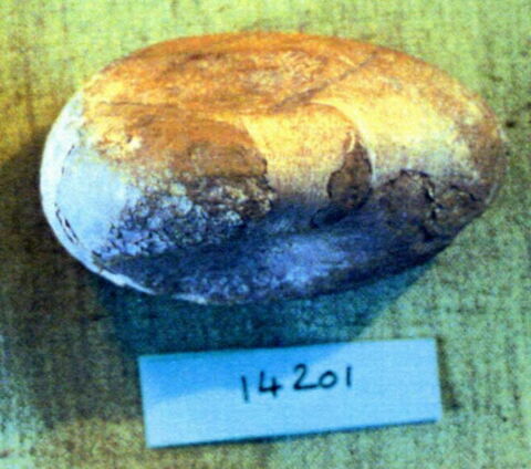 poids, image 5/5