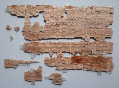 papyrus documentaire, image 2/2