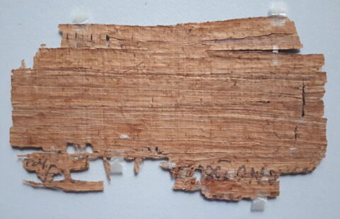 papyrus documentaire, image 2/2