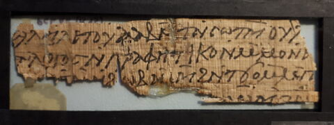 papyrus documentaire, image 2/2