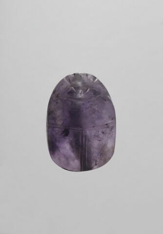scarabée détaillé, image 2/4