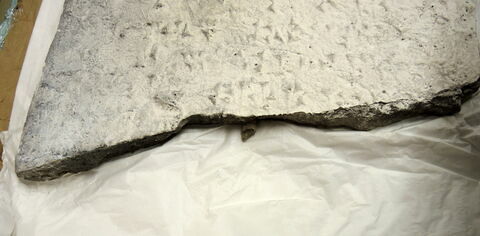 moulage ; empreinte moderne, image 3/3